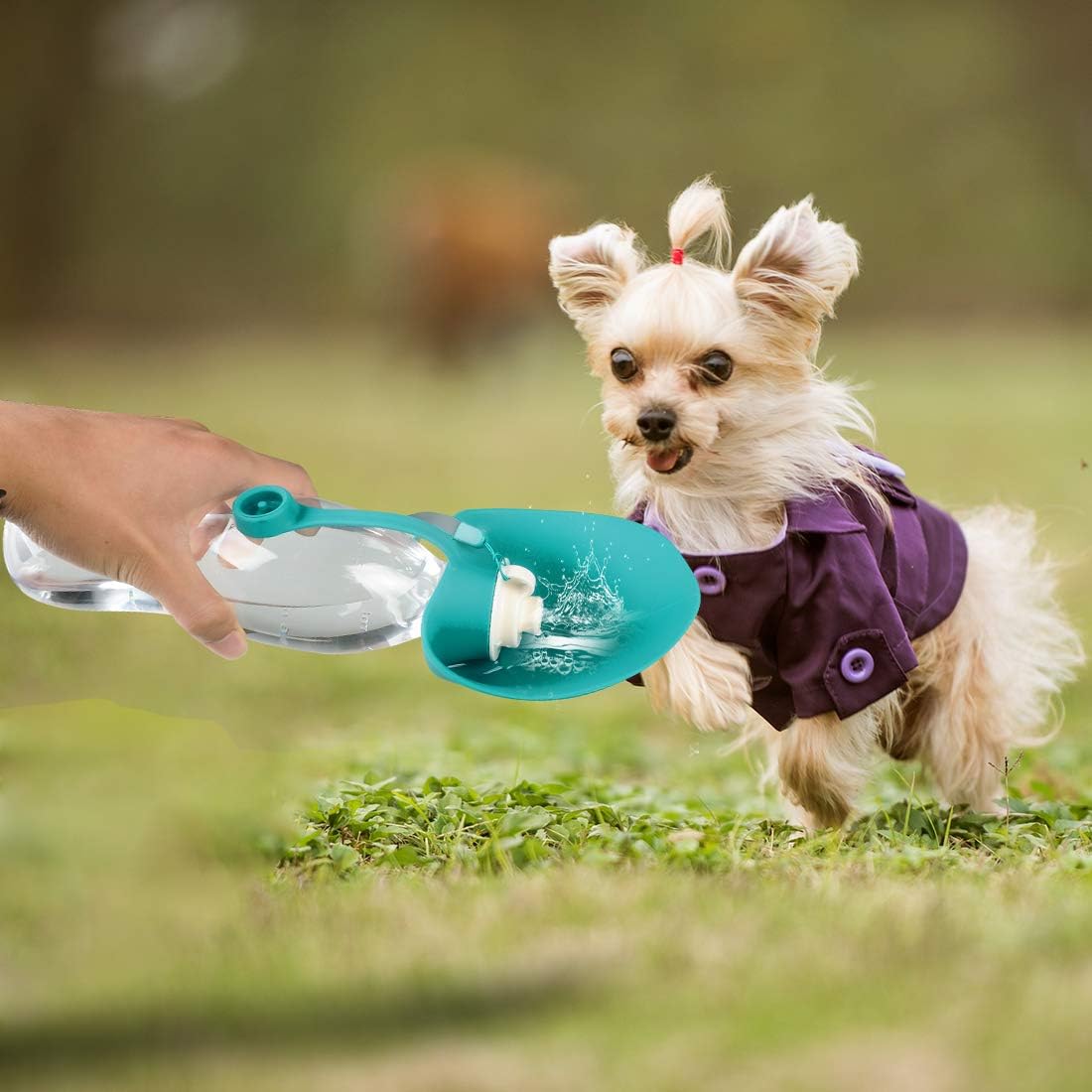 TIOVERY Dog Water Bottle for Walking, Pet Water Dispenser Feeder Container Portable with Drinking Cup Bowl Outdoor Hiking, Travel for Puppy, Cats, Hamsters, Rabbits and Other Small Animals 20 OZ