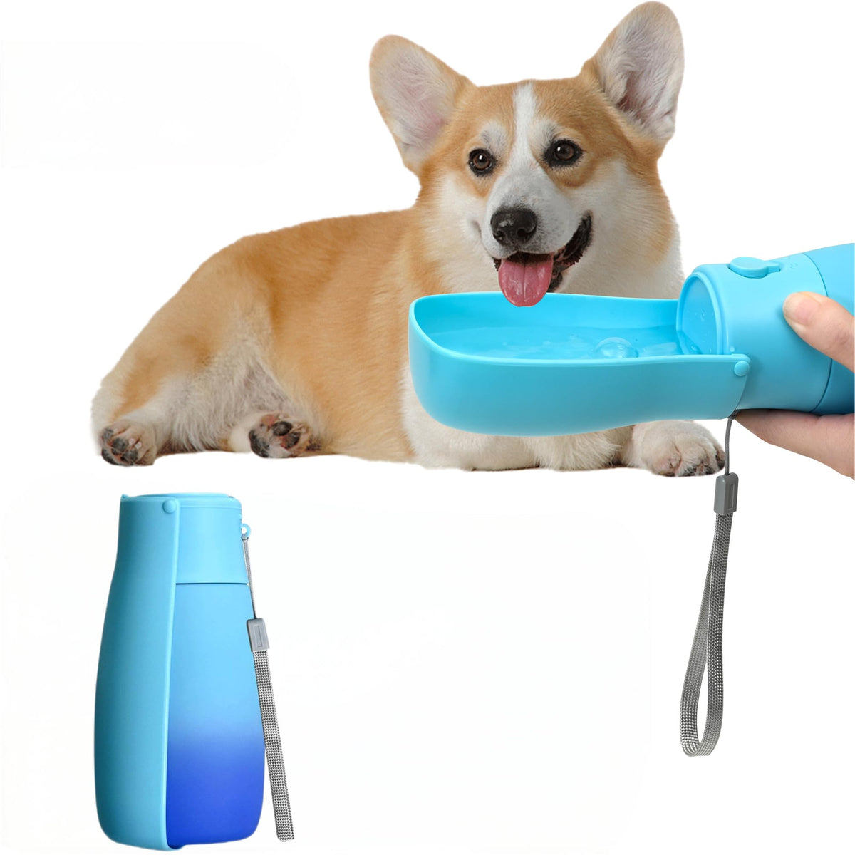 Portable Dog Water Bottle 19oz Blue