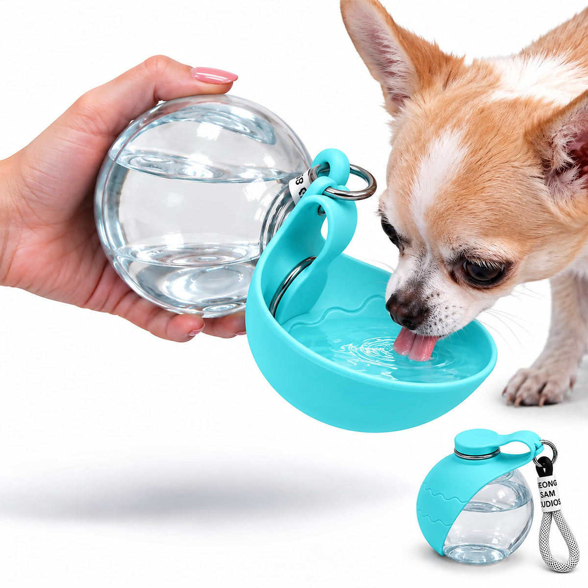 2-in-1 Portable Dog Water Bottle with Foldable Bowl, 10 oz, Plastic-Blue
